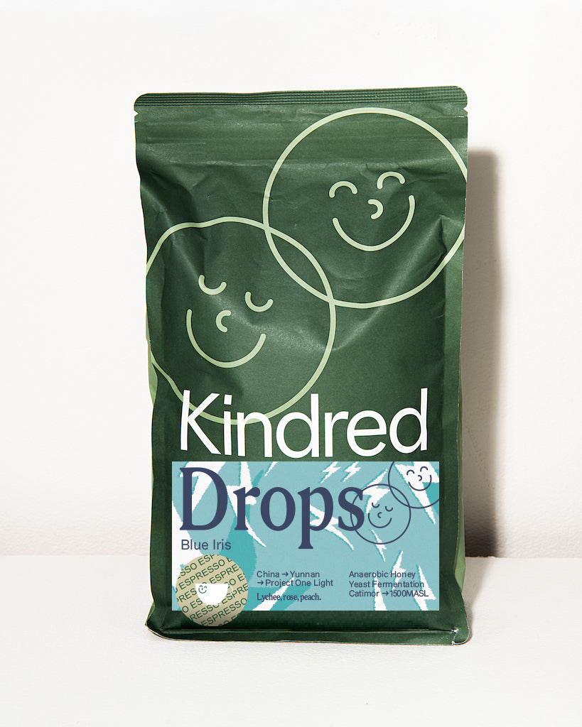 Blue Iris - Project One Light