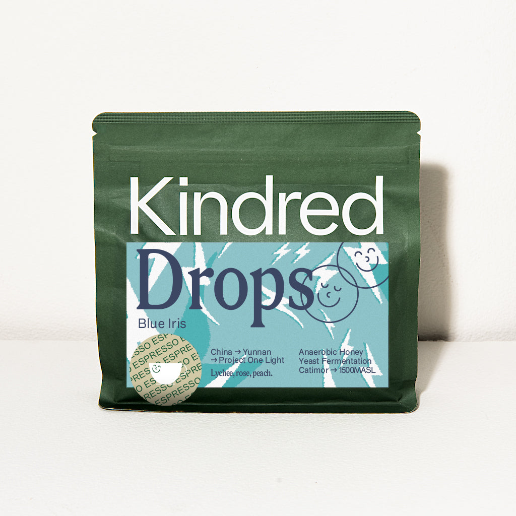 Blue Iris - Project One Light